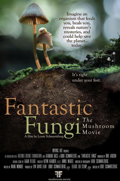 قارچ فوق العاده (Fantastic Fungi)